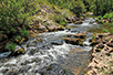 The Moravica River (Photo: Dragan Bosnić)